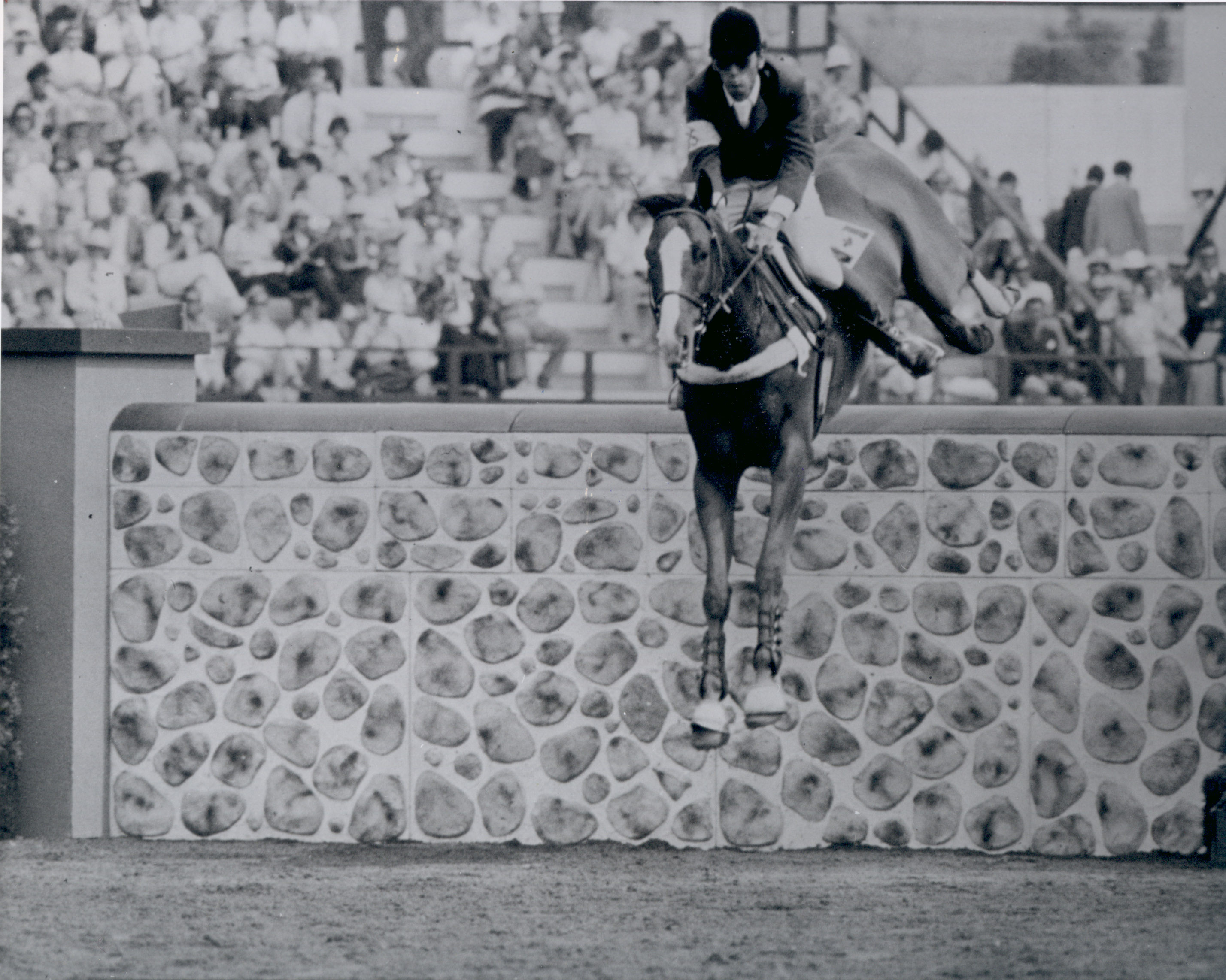 Michel Vaillancourt Showjumper